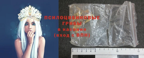 МДПВ Богородицк
