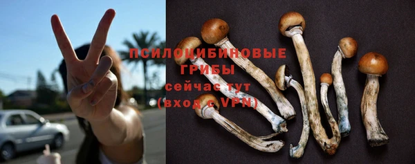 соль курить ск Богданович