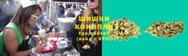 МДПВ Богородицк