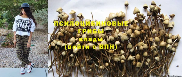 МДПВ Богородицк