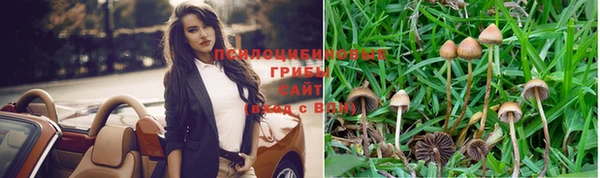 МДПВ Богородицк