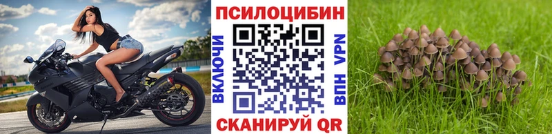 Псилоцибиновые грибы мицелий  дарк нет как зайти  Мегион 